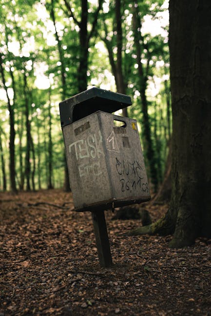 A weathered grey public notice or information box mounted on a slightly tilted black post in a wooded area, with graffiti and markings on its surface. The box is situated on a dirt ground covered with small leaves and twigs, surrounded by tall trees with dense green foliage, allowing dappled sunlight to filter through. The background features a forest setting with tree trunks on either side and a slightly blurred canopy overhead. The environment appears quiet, natural, and unmaintained, contrasting with typical urban rubbish removal sites, but illustrating the importance of managing waste and graffiti in outdoor public spaces. The box’s metal surface has a matte finish with visible scratches and graffiti, contributing to an overall impression of neglect or vandalism, which Waste Removal Bromley may address as part of their on-site clearance or private waste handling services near natural environments like Keston Common Bromley.